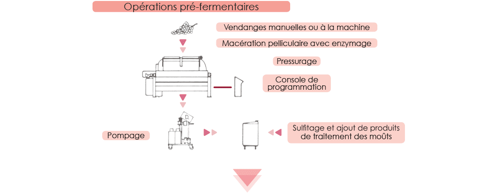 Schéma des étapes des opérations pré-fermentaires de la Méthode Charmat en cuve close jusqu'au au pompage et au sulfitage/ajout de produits de traitement des mouts