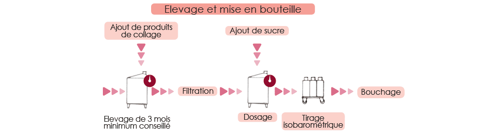 Schéma de l'élevage et de la mise en bouteille dans la Méthode Charmat en cuve close