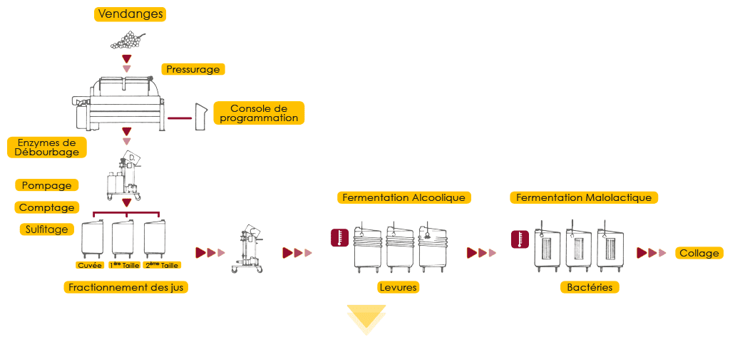 Schéma de la méthode de vinification traditionnelle en bouteille